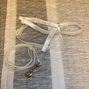 Dog harness & leash